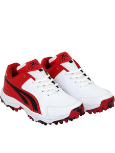 Zigaro Cricket Shoes For Men
