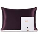 ZIMASILK 100% Pure Mulberry Silk Pillowcase for Hair and Skin Health,Soft and Smooth,Both Sides Premium Grade 6A Silk,600 Thread Count,with Hidden Zipper,1pc(Standard 20''x26'',Eggplant Purple)