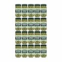 Zindagi Stevia Dry Leaves | Natural Sugar Free Stevia Leaves | Zero Calorie Sweetener | Pack Of 20