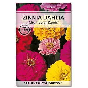 navika seeds  grow with us zinnia dahlia flower seeds for home gardening perfect for terrace gardening winter and summer blooms in india - includes free e-book