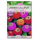 Navika Seeds ; Grow with Us Zinnia Lilliput Flower Seed.Perfect for Terrace Gardening Winter &amp; Summer Blooms in India-Includes Free E-Book for Kitchen,Backyard,Gardening &amp; Planting.High Germination