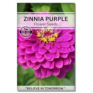 navika seeds  grow with us zinnia purple flower seedperfect for terrace gardening winter amp summer blooms in india-includes free e-book for kitchenbackyardgardening amp plantinghigh germination