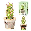 ZIYOSTAR Mini Blocks 222PCS Succulent Plant Bonsai Building Set, Office and Room Decor Succulents Flowers Model Building Toys, Birthday Gift for Adult Boys Girls Woman(804207)