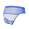 ZONBAILON Men's Lace Pouch Briefs Sexy Underwear Silk Sheer Mesh Panties