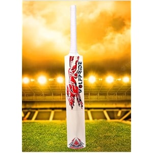 in the zone full size cricket bat ideal for age 15 yrs with anti scuff sheet toe and cover red sticker white grip himachal willow cricket bat