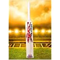 in The Zone Full Size Cricket Bat, Ideal for Age 15+ Yrs with Anti Scuff Sheet, Toe, and Cover (Red Sticker White Grip, Himachal Willow Cricket Bat)