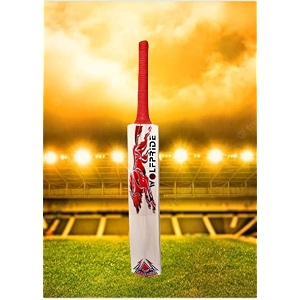 in the zone full size cricket bat ideal for age 15 yrs with anti scuff sheet toe and cover zone red sticker red grip himachal willow cricket bat