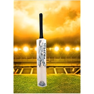 in the zone full size cricket bat ideal for age 15 yrs with anti scuff sheet toe and cover zone gray sticker black grip himachal willow cricket bat