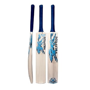 in the zone poplar willow cricket bat full size ideal for age 15 yrs with anti scuff sheet toe and cover zone blue sticker amp blue grip