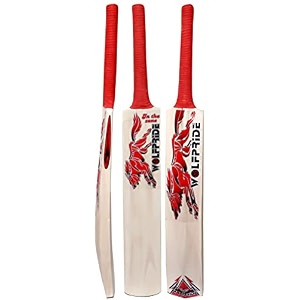in the zone full size cricket bat ideal for age 15 yrs with anti scuff sheet toe and cover zone red sticker amp red grip kashmir willow cricket bat