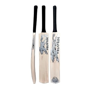 in the zone poplar willow cricket bat full size ideal for age 15 yrs with anti scuff sheet toe and cover zone gray sticker amp gray grip