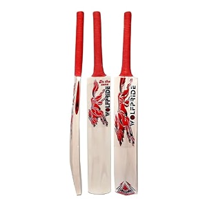 in the zone himachal willow cricket bat full size ideal for age 15 yrs with anti scuff sheet toe and cover zone red sticker amp red grip