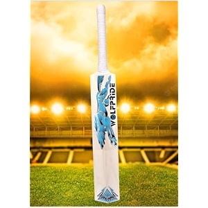 in the zone full size cricket bat ideal for age 15 yrs with anti scuff sheet toe and cover zone blue sticker white grip himachal willow cricket bat