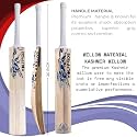 in The Zone Full Size Cricket Bat, Ideal for Age 15+ Yrs with Anti Scuff Sheet, Toe, and Cover (Zone Blue Sticker &amp; Blue Grip, Kashmir Willow Cricket Bat)