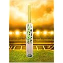 in The Zone Full Size Cricket Bat, Ideal for Age 15+ Yrs with Anti Scuff Sheet, Toe, and Cover (Zone Yellow Sticker Yellow Grip, Himachal Willow Cricket Bat)