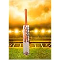 in The Zone Full Size Cricket Bat, Ideal for Age 15+ Yrs with Anti Scuff Sheet, Toe, and Cover (Zone Orange Sticker Orange Grip, Himachal Willow Cricket Bat)