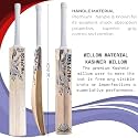in The Zone Kashmir Willow Cricket Bat, Full Size Ideal for Age 15+ Yrs with Anti Scuff Sheet, Toe, and Cover, Zone Gray Sticker &amp; Black Grip