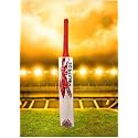 in The Zone Full Size Cricket Bat, Ideal for Age 15+ Yrs with Anti Scuff Sheet, Toe, and Cover (Zone Red Sticker Red Grip, Himachal Willow Cricket Bat)