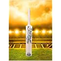 in The Zone Full Size Cricket Bat, Ideal for Age 15+ Yrs with Anti Scuff Sheet, Toe, and Cover (Zone Gray Sticker White Grip, Himachal Willow Cricket Bat)