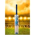 in The Zone Full Size Cricket Bat, Ideal for Age 15+ Yrs with Anti Scuff Sheet, Toe, and Cover (Zone Blue Sticker Blue Grip, Himachal Willow Cricket Bat)