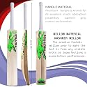 in The Zone Kashmir Willow Cricket Bat, Full Size Ideal for Age 15+ Yrs with Anti Scuff Sheet, Toe, and Cover, Zone Yellow Sticker &amp; Yellow Grip