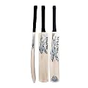 in The Zone Poplar Willow Cricket Bat, Full Size Ideal for Age 15+ Yrs with Anti Scuff Sheet, Toe, and Cover, Zone Gray Sticker &amp; Gray Grip