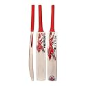 in The Zone Himachal Willow Cricket Bat, Full Size Ideal for Age 15+ Yrs with Anti Scuff Sheet, Toe, and Cover, Zone Red Sticker &amp; Red Grip