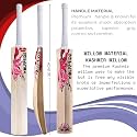 in The Zone Full Size Cricket Bat, Ideal for Age 15+ Yrs with Anti Scuff Sheet, Toe, and Cover (Zone Pink Sticker &amp; Black Grip, Kashmir Willow Cricket Bat)