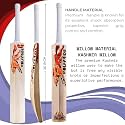in The Zone Kashmir Willow Cricket Bat, Full Size Ideal for Age 15+ Yrs with Anti Scuff Sheet, Toe, and Cover, Zone Orange Sticker &amp; Orange Grip
