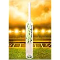 in The Zone Full Size Cricket Bat, Ideal for Age 15+ Yrs with Anti Scuff Sheet, Toe, and Cover (Zone Yellow Sticker White Grip, Himachal Willow Cricket Bat)