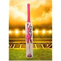 in The Zone Full Size Cricket Bat, Ideal for Age 15+ Yrs with Anti Scuff Sheet, Toe, and Cover (Zone Pink Sticker Pink Grip, Himachal Willow Cricket Bat)