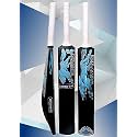 in The Zone Super Power Full Size Cricket Bat, Ideal for Age 15+ Yrs with Anti Scuff Sheet, Toe, and Cover (Kashmir Willow Cricket Bat, Zone Gray Sticker &amp; White Grip)