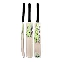 in The Zone Poplar Willow Cricket Bat, Full Size Ideal for Age 15+ Yrs with Anti Scuff Sheet, Toe, and Cover, Zone Yellow Sticker &amp; Black Grip
