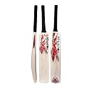 in The Zone Himachal Willow Cricket Bat, Full Size Ideal for Age 15+ Yrs with Anti Scuff Sheet, Toe, and Cover, Zone Red Sticker &amp; Black Grip