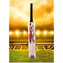 in The Zone Full Size Cricket Bat, Ideal for Age 15+ Yrs with Anti Scuff Sheet, Toe, and Cover (Zone Red Sticker Black Grip, Himachal Willow Cricket Bat)
