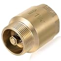 Zonon 1 Pcs 1-1/4 Inch Check Valve, One Way Spring Brass Check Valve
