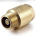 Zonon 1 Pcs 3/4 Inch Check Valve, One Way Spring Brass Check Valve