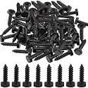 Zonon 100 Pcs 1/4'' X 1" 304 Stainless Steel Lag Screw for Wood, Black