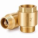 Zonon 2 Pcs 2 Inch Check Valve, One Way Spring Brass Check Valve