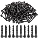 Zonon 50 Pcs 1/4" X 1-1/4" 304 Stainless Steel Lag Screw for Wood, Black