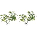Zoo Med Betta Plant, Realistic Looking Window Leaf Plant for Fish Tanks Black 0.3 oz (Pack of 2)