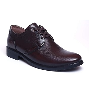 Zoom Shoes Leather Formal Casual Shoes with