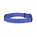 Zoomies Dogs Unisex Biothane Waterproof Collar with Quick-Release Buckle and Metal D-Ring for Outdoor Adventures and Everyday Use – Odour-Free &amp; Easy to Clean - Blue (ZBBC000S)