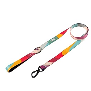 zoomiez printed dog leashlead with comfortable padded handle 4 ft with heavy duty slide locking hook s swirl
