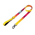 Zoomiez Printed Dog Leash/Lead with Comfortable Padded Handle, 4 Ft with Heavy Duty Slide Locking Hook (S, Solar)