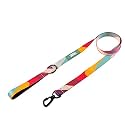 Zoomiez Printed Dog Leash/Lead with Comfortable Padded Handle, 4 Ft with Heavy Duty Slide Locking Hook (S, Swirl)