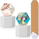 Zopeal 48 Pcs Ceramic Tiles for Craft with Cork Backing Pad, Hexagonal