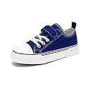 Zoroadke Toddler Boys and Girls Sneakers Low