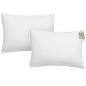 ZPECC Toddler Pillow with Pillowcase 2 Pack - 13x18 Organic Cotton Hypoallergenic Kids Pillow, Baby Essentials for Travel Crib Daycare Stroller (Intended for Age 2 and up) White Stripe