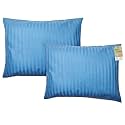 ZPECC Toddler Pillow with Pillowcase 2 Pack - 13x18 Organic Cotton Hypoallergenic Kids Pillow, Baby Essentials for Travel Crib Daycare Stroller (Intended for Age 2 and up) Blue Stripe
